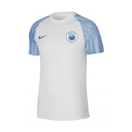 Maillot Dri-Fit Academy Adulte