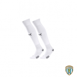 Team LIGA Socks CORE