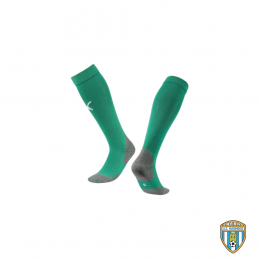 Chaussette Puma teamrise Vert